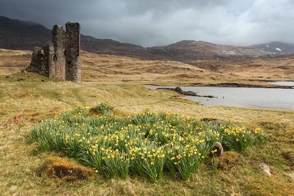 Северная Шотландия и Orkney Islands на майские праздники 2013